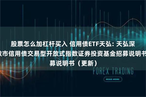 股票怎么加杠杆买入 信用债ETF天弘: 天弘深证基准做市信用债交易型开放式指数证券投资基金招募说明书（更新）